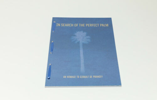 Charles Johnstone, In Search of the Perfect Palm: An Homage to Girault de Prangey