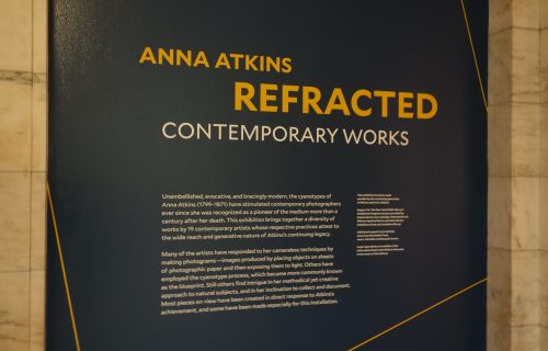 Anna Atkins Refracted: Contemporary Works @New York Public Library