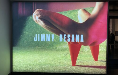 Jimmy DeSana: Submission @Brooklyn Museum