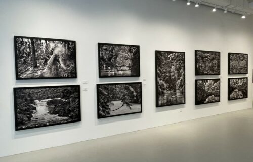 Sebastião Salgado: Amazônia @Sundaram Tagore