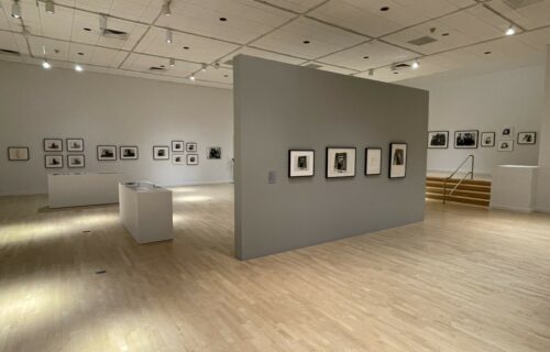 Darrel Ellis: Regeneration @Bronx Museum