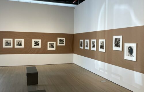 Peter Hujar: Echoes @125 Newbury