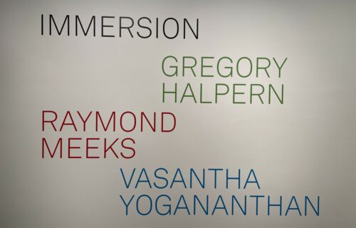 Immersion: Gregory Halpern, Raymond Meeks, and Vasantha Yogananthan @ICP